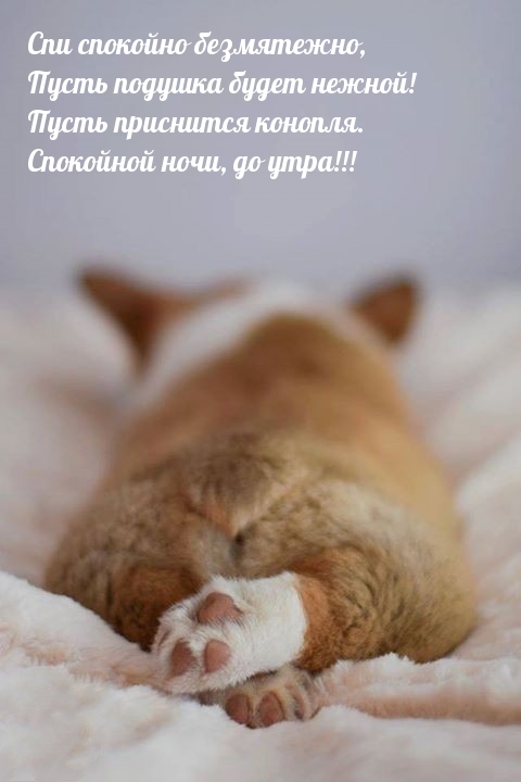 Спи спокойно безмятежно, пусть подушка будет нежной!