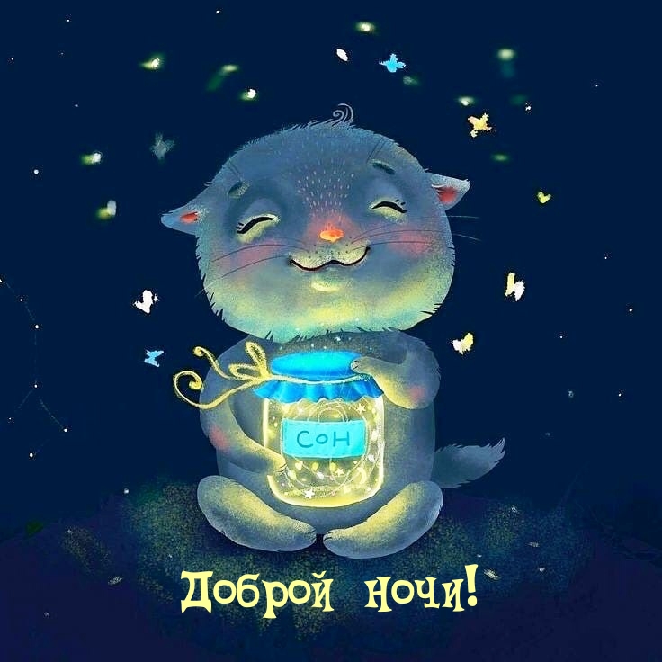 Доброй ночи!
