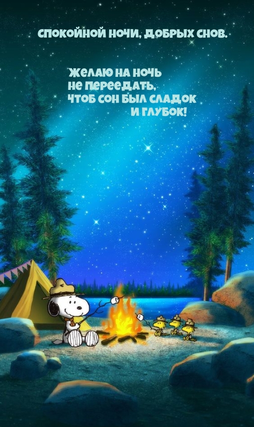  Желаю на ночь не переедать, чтоб сон был сладок и глубок! 