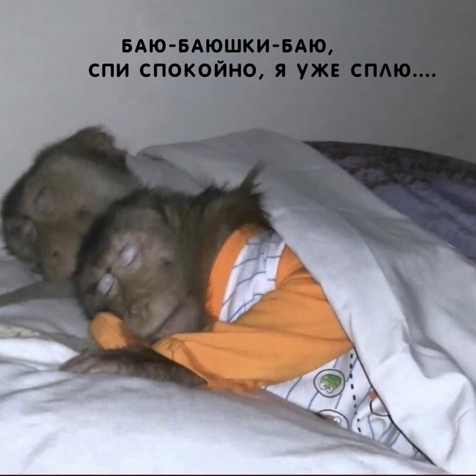     Баю-баюшки-баю, спи спокойно, я уже сплю....