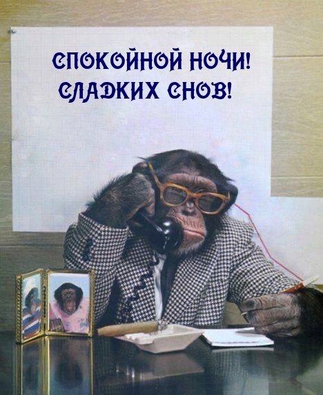 СПОКОЙНОЙ НОЧИ! СЛАДКИХ СНОВ!