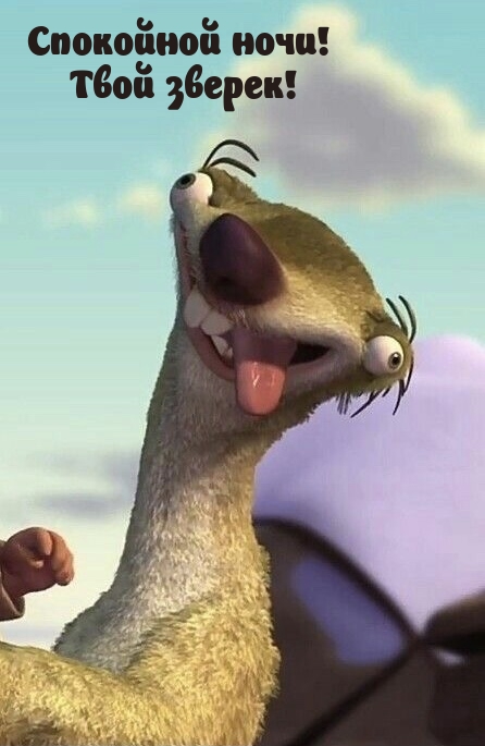 Спокойной ночи! Твой зверек!