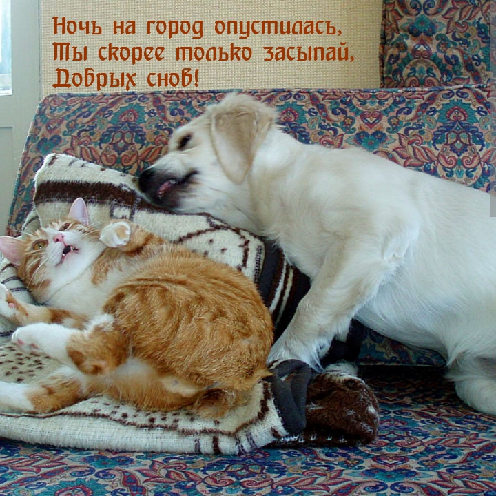 Ночь на город опустилась, ты скорее только засыпай.