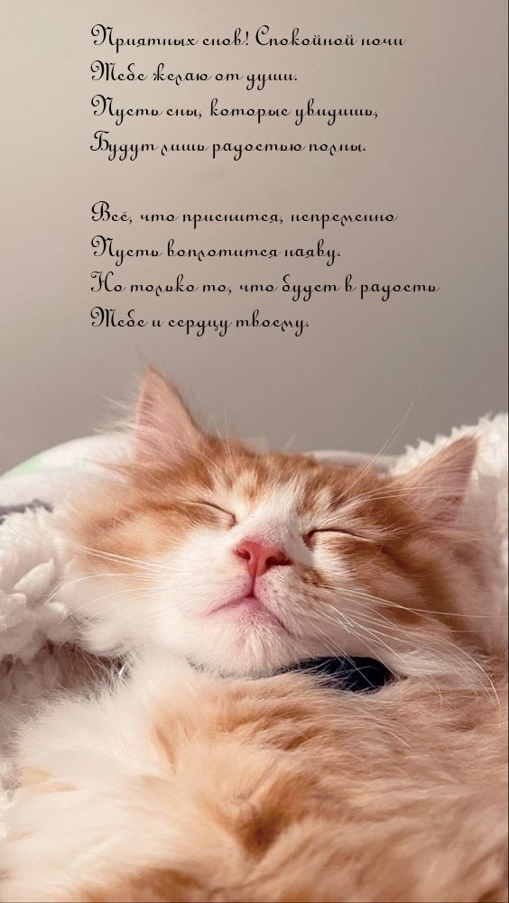 Пусть сны, которые увидишь, будут лишь радостью полны.