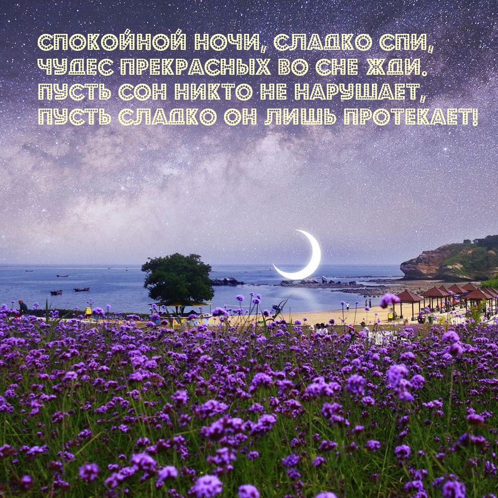 Спокойной ночи, сладко спи, чудес прекрасных во сне жди.
