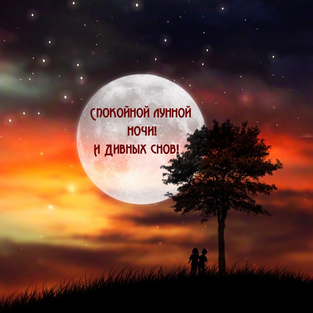  Спокойной лунной ночи! И Дивных снов!