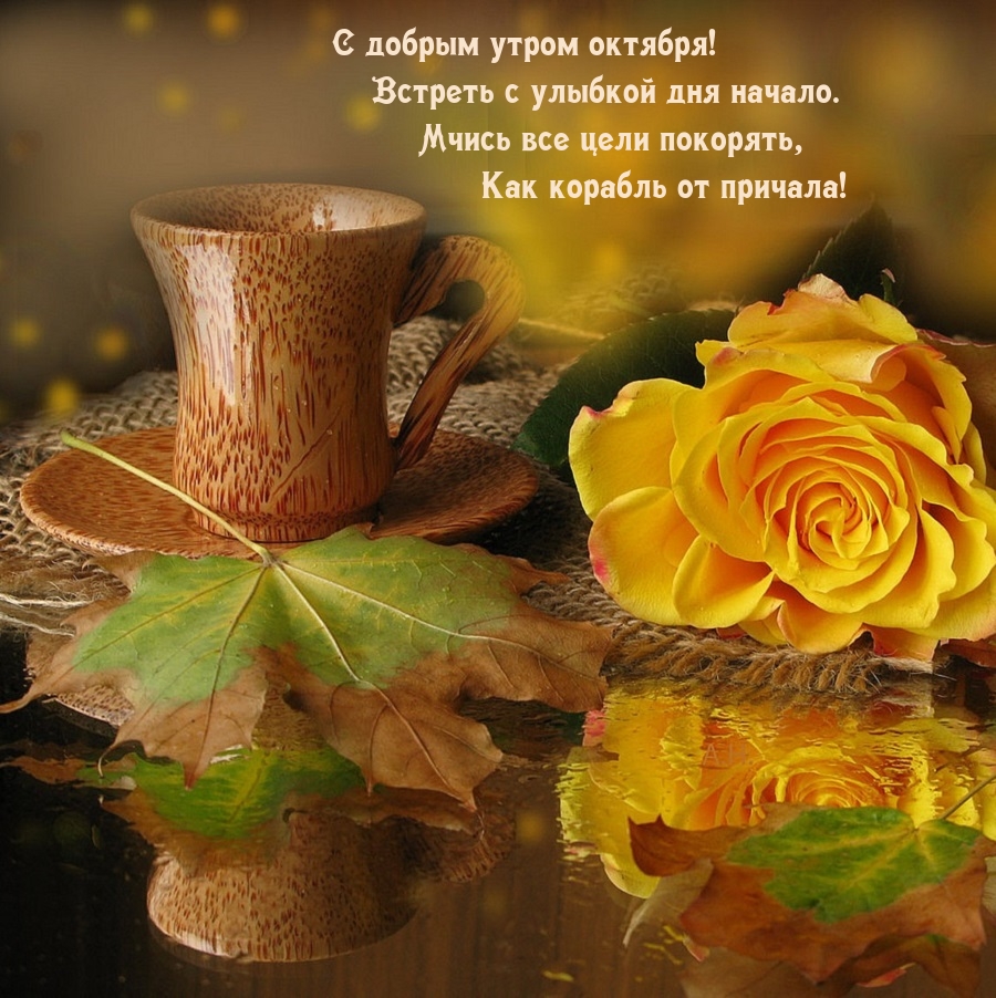 С добрым утром октября! Встреть с улыбкой дня начало.