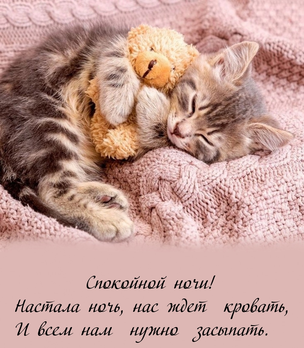 Настала ночь, нас ждет  кровать, и всем нам  нужно  засыпать.