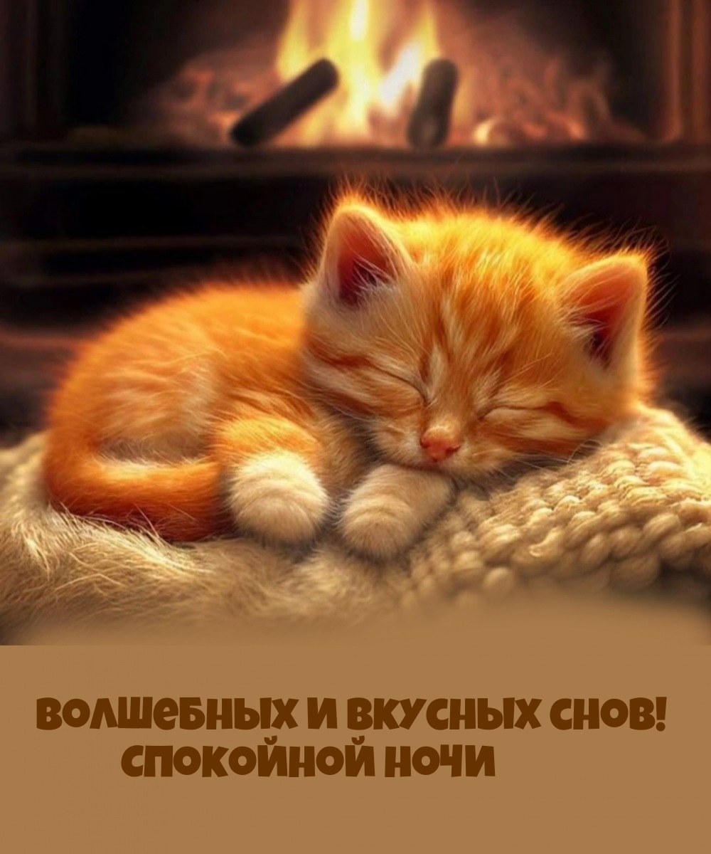 Волшебных и вкусных снов! Спокойной ночи с рыжим котиком.