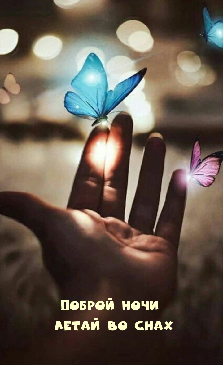 Доброй ночи, летай во снах с бабочками.