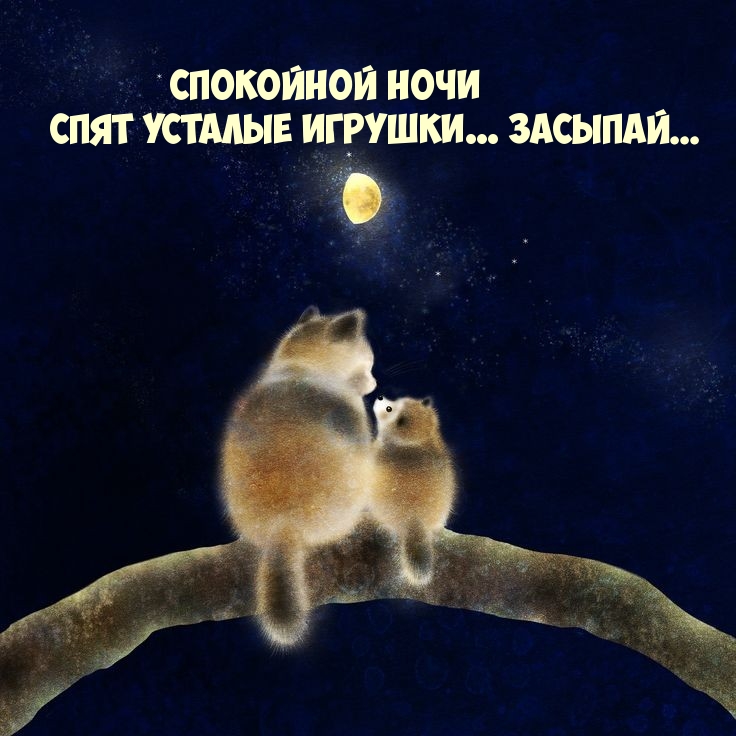 Спокойной ночи Спят усталые игрушки… засыпай... 