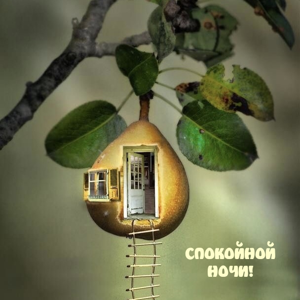 Спокойной ночи.