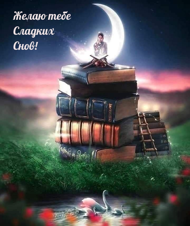 Желаю тебе сладких Снов!