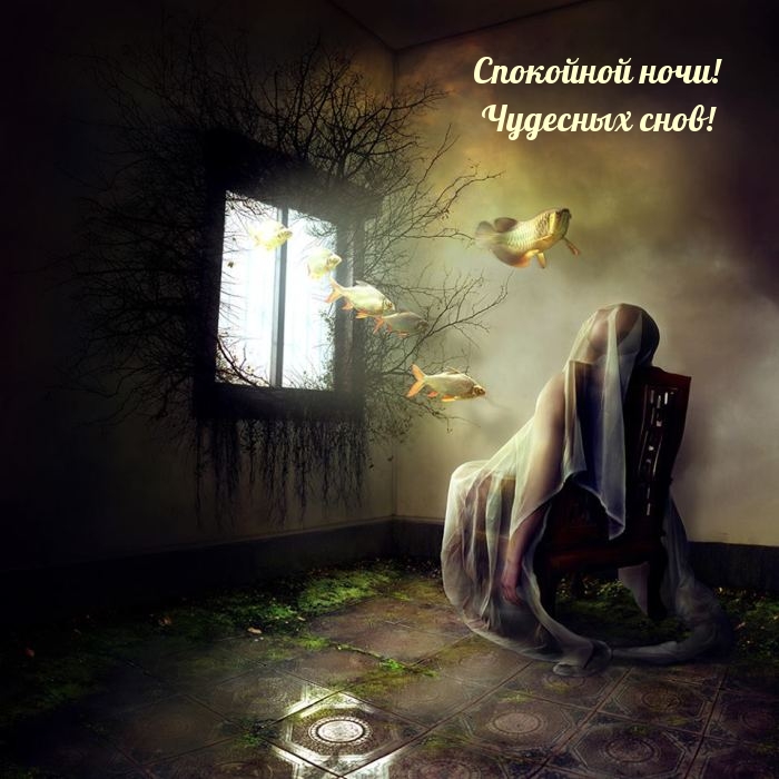 Спокойной ночи! Чудесных снов!