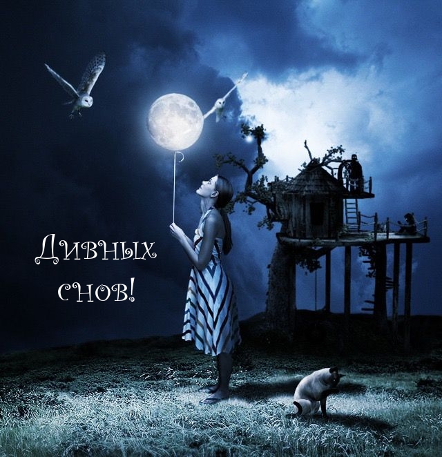 Дивных, сказочных снов!