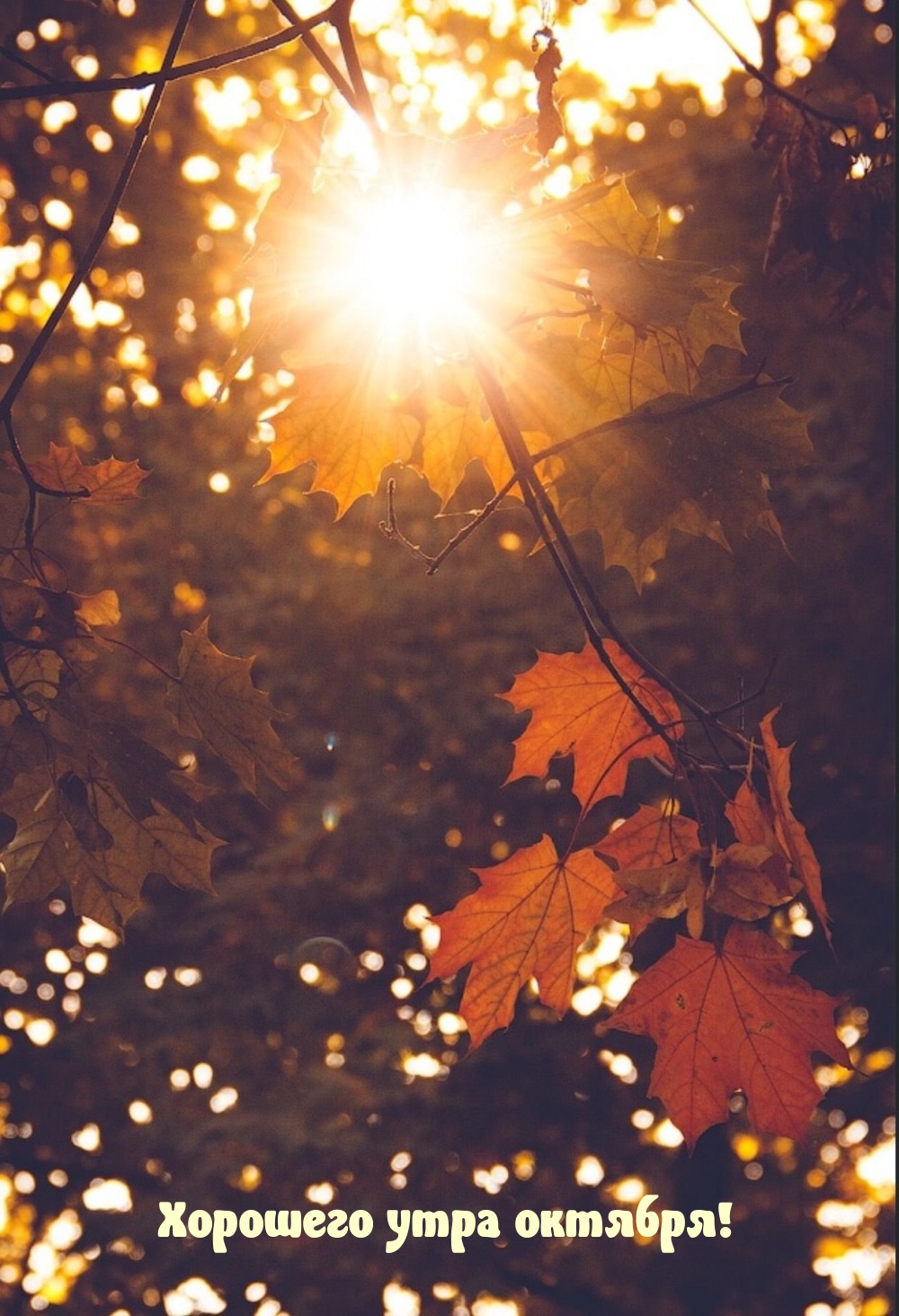 Хорошего утра октября!