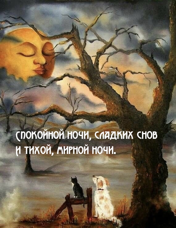 Спокойной ночи, сладких снов и тихой, мирной ночи.