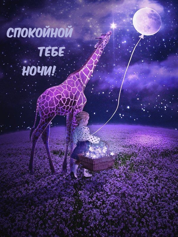 Спокойной тебе ночи!