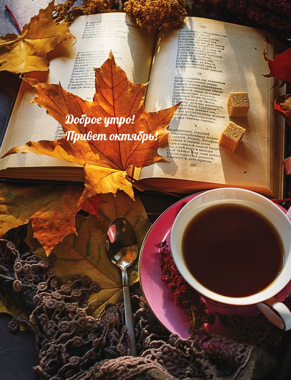 Доброе утро! Привет октябрь!