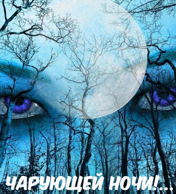 Чарующей ночи!...