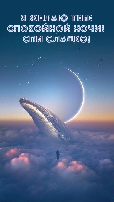  Я желаю тебе спокойной ночи! Спи сладко!