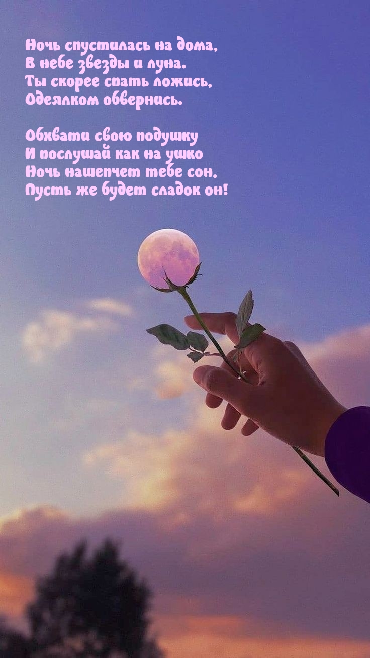 Ночь нашепчет тебе сон, пусть же будет сладок он!