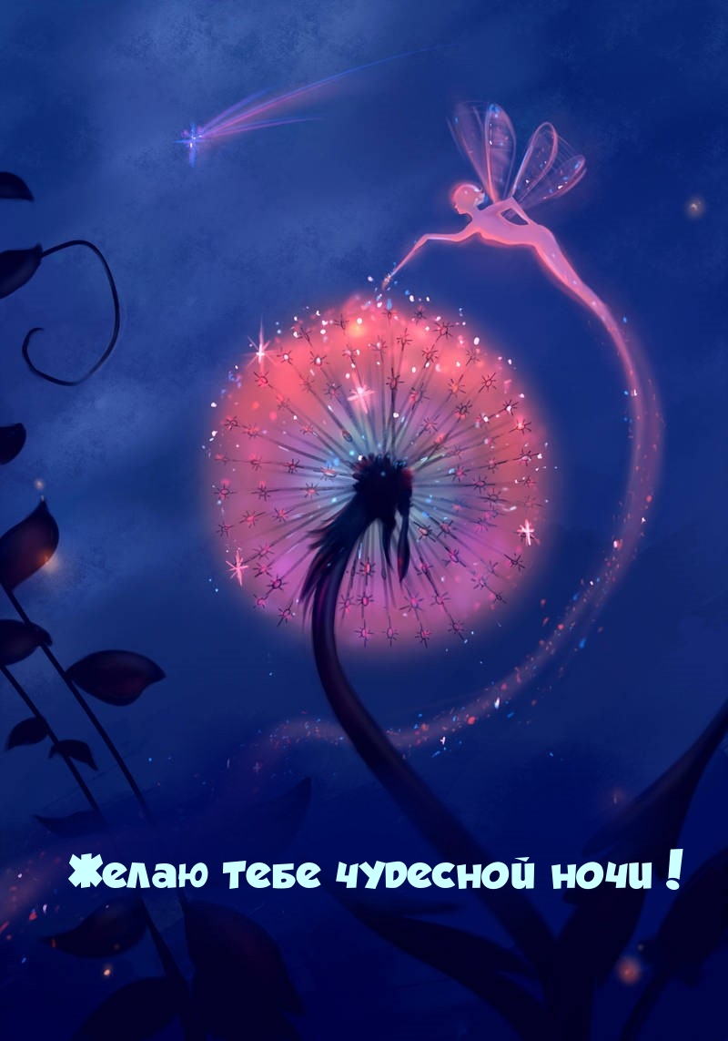 Желаю тебе чудесной ночи!