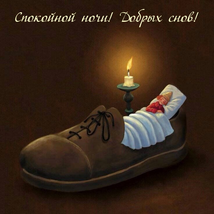 Спокойной ночи! Добрых снов!