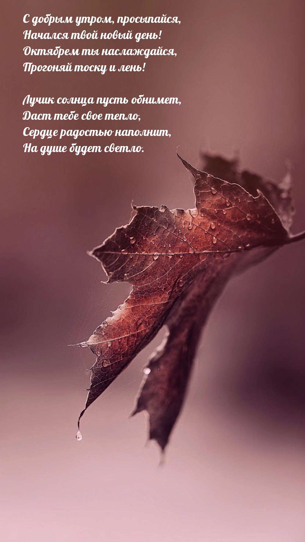 Начался твой новый день! Октябрем ты наслаждайся