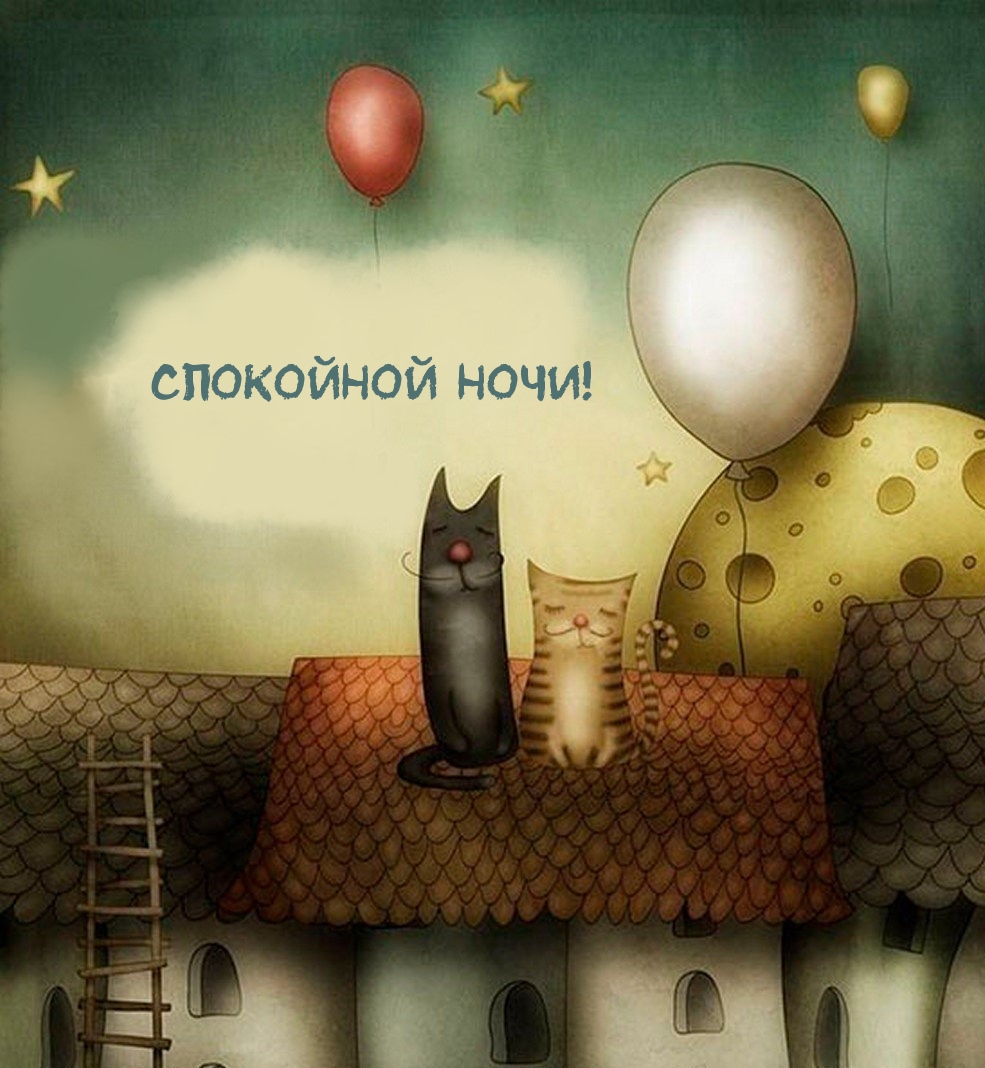 Спокойной ночи от котов!