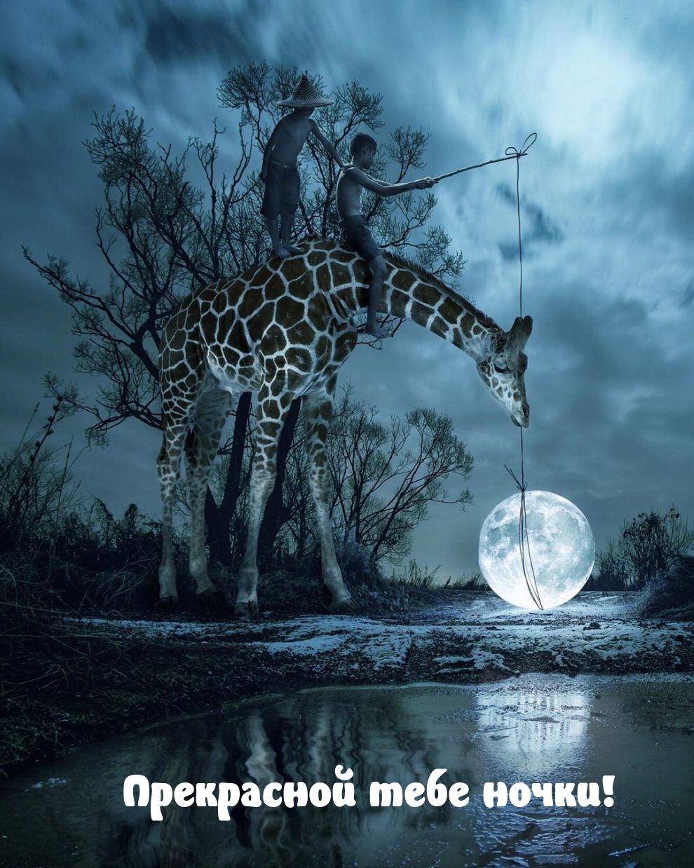 Прекрасной тебе ночки!