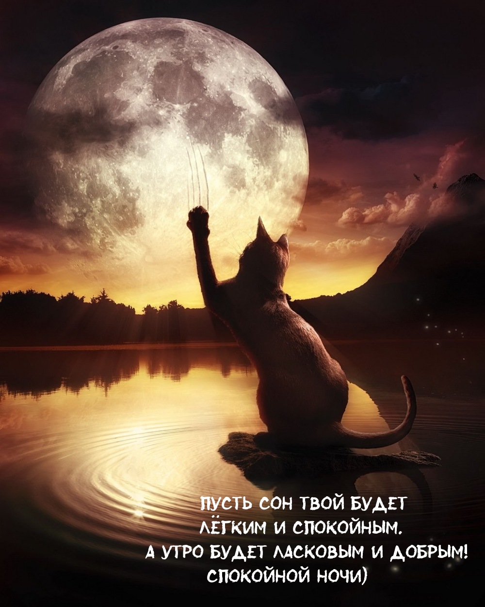  Пусть сон твой будет лёгким и спокойным.