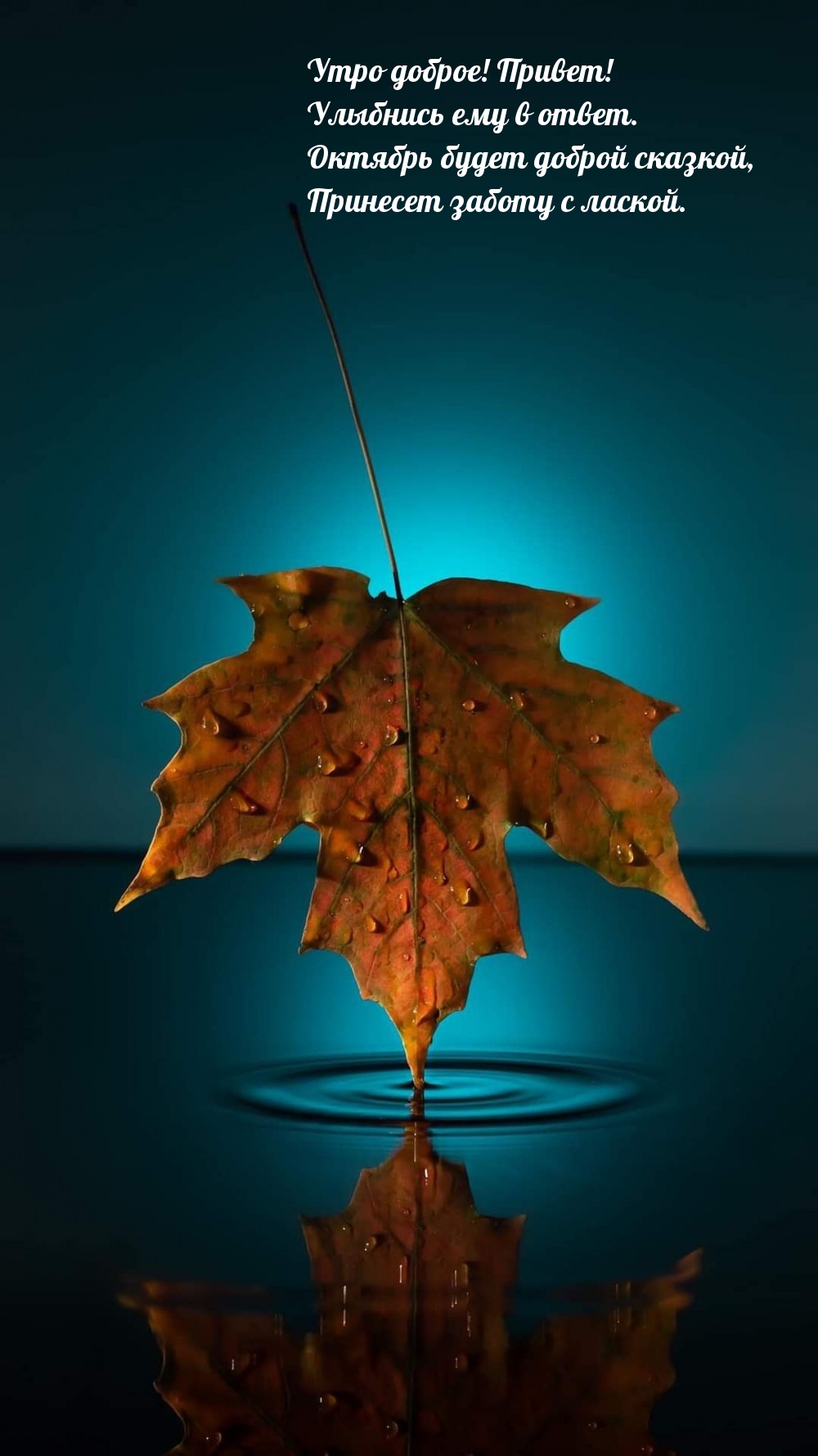 Утро доброе! Улыбнись ему в ответ. Октябрь будет доброй сказкой