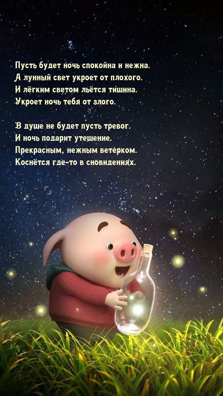 Пусть будет ночь спокойна и нежна.