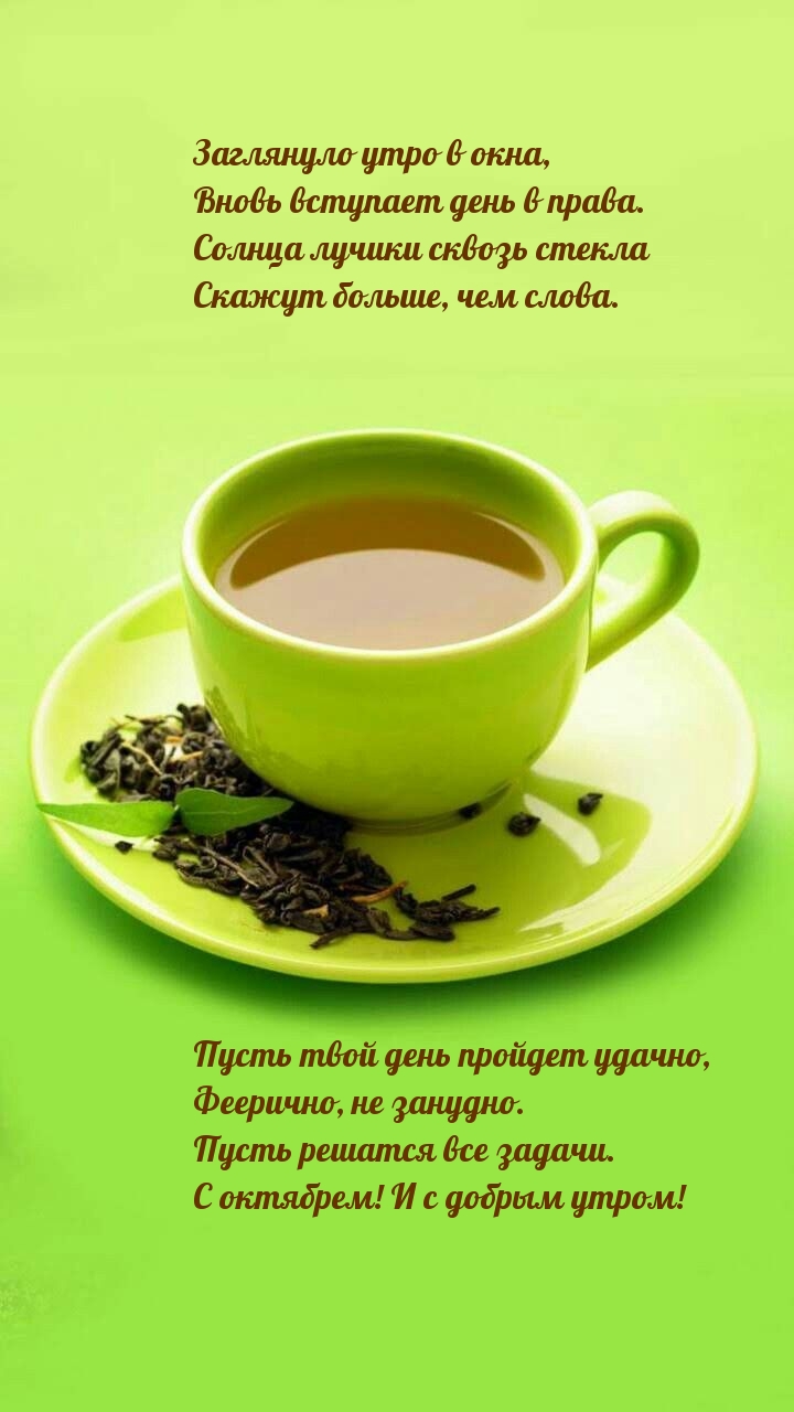 Заглянуло утро в окна, вновь вступает день в права.