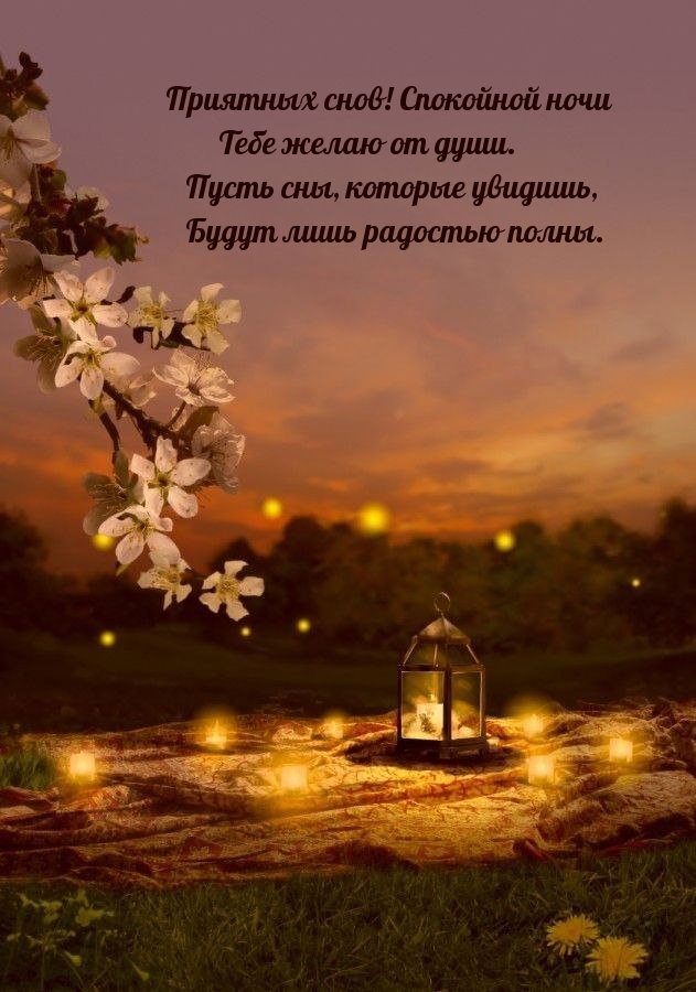 Приятных снов! Спокойной ночи Тебе желаю от души.