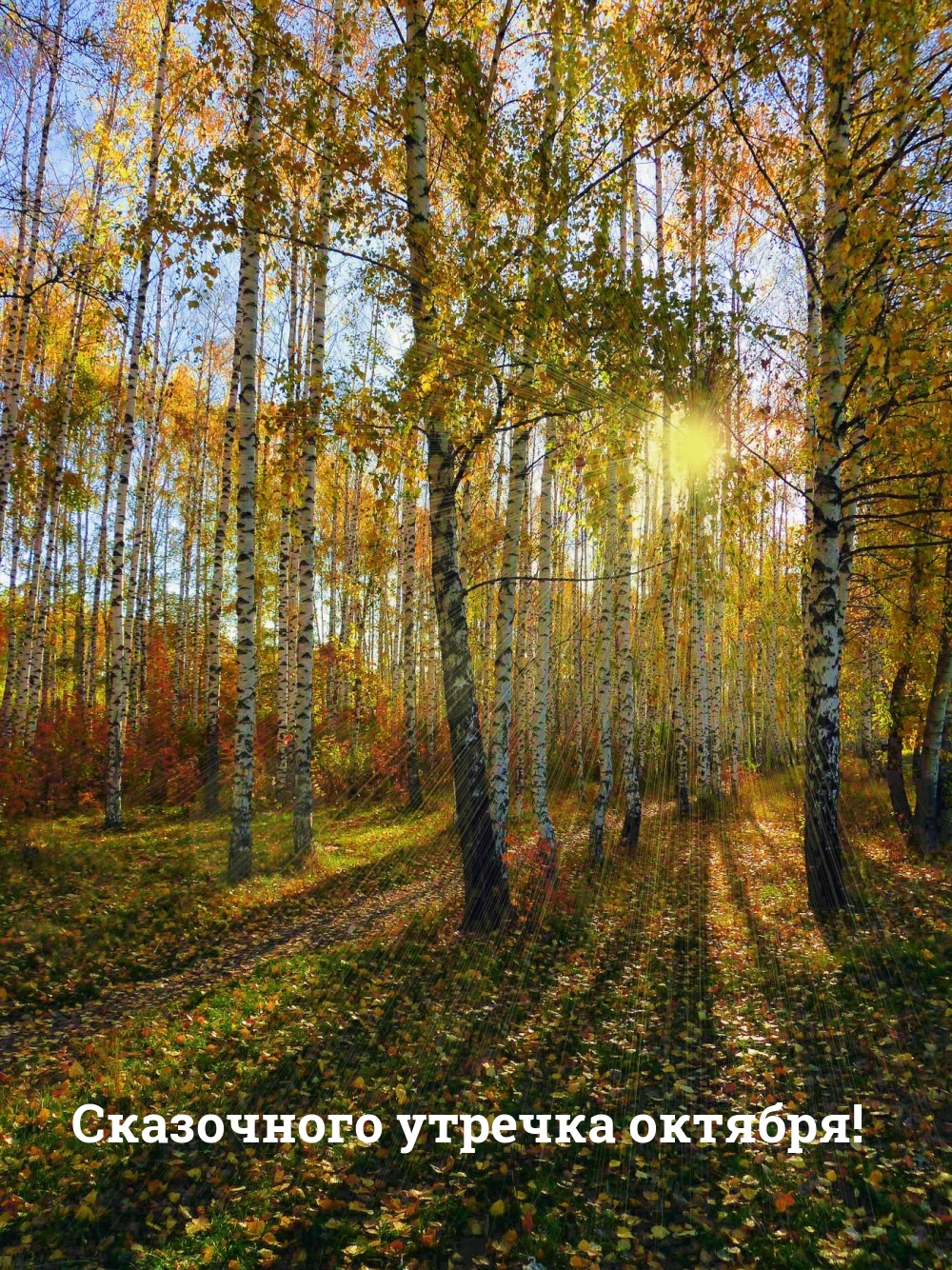 Сказочного утречка октября!