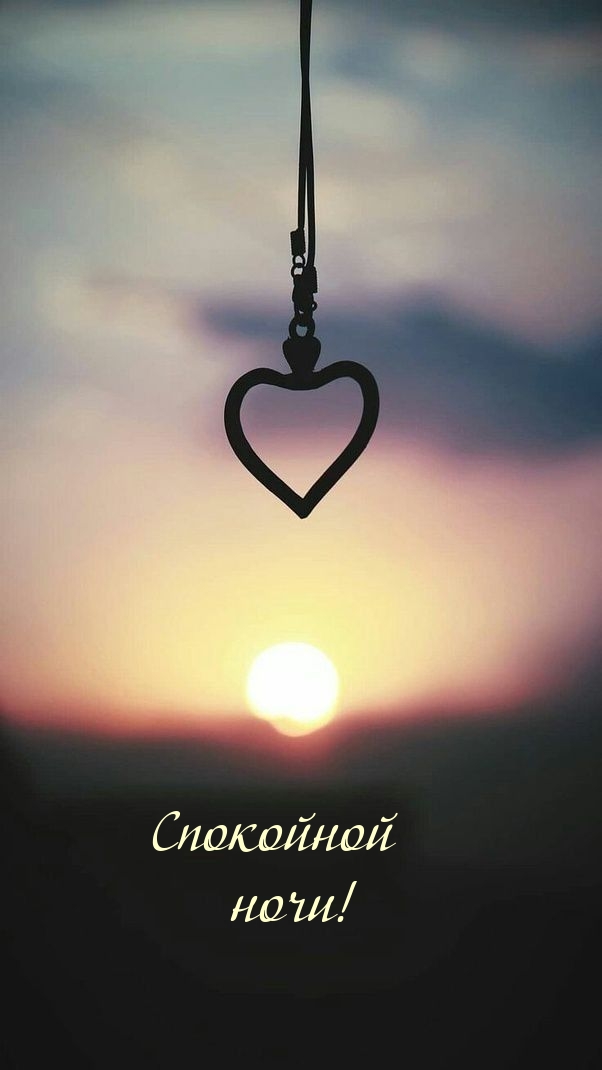 Спокойной ночи!