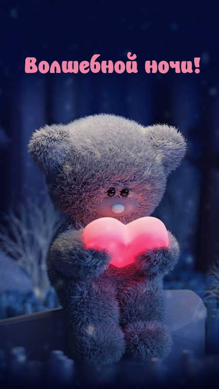 Волшебной ночи!