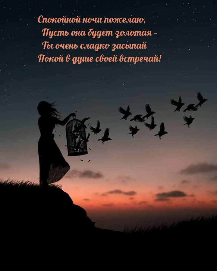 Спокойной ночи пожелаю, пусть она будет золотая