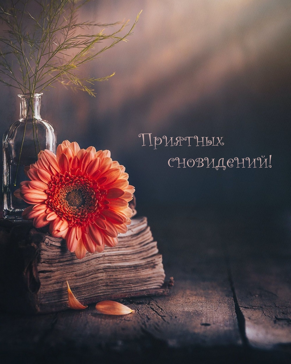 Приятных сновидений!