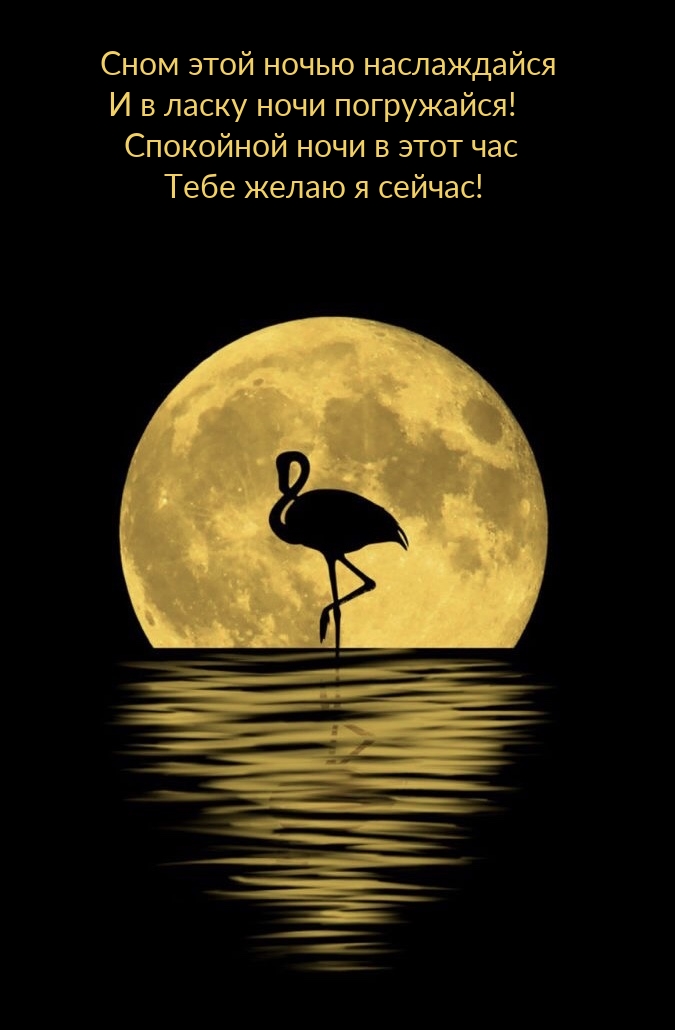 Сном этой ночью наслаждайся и в ласку ночи погружайся!