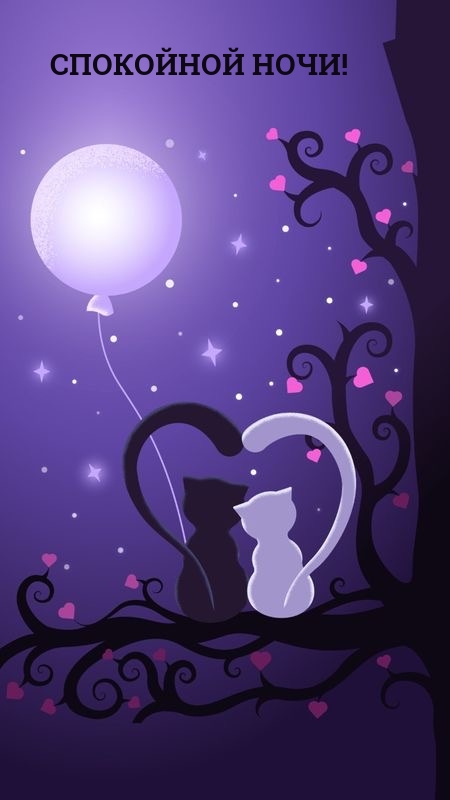 Спокойной ночи!  