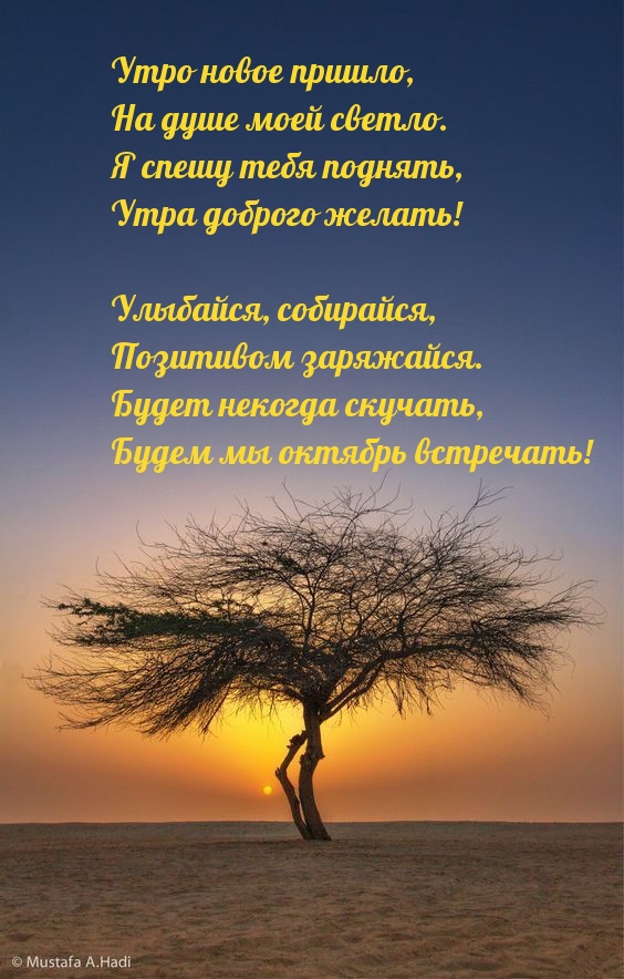 Утро новое пришло, на душе моей светло.