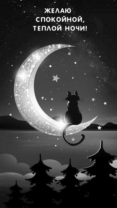 Желаю спокойной, теплой ночи!
