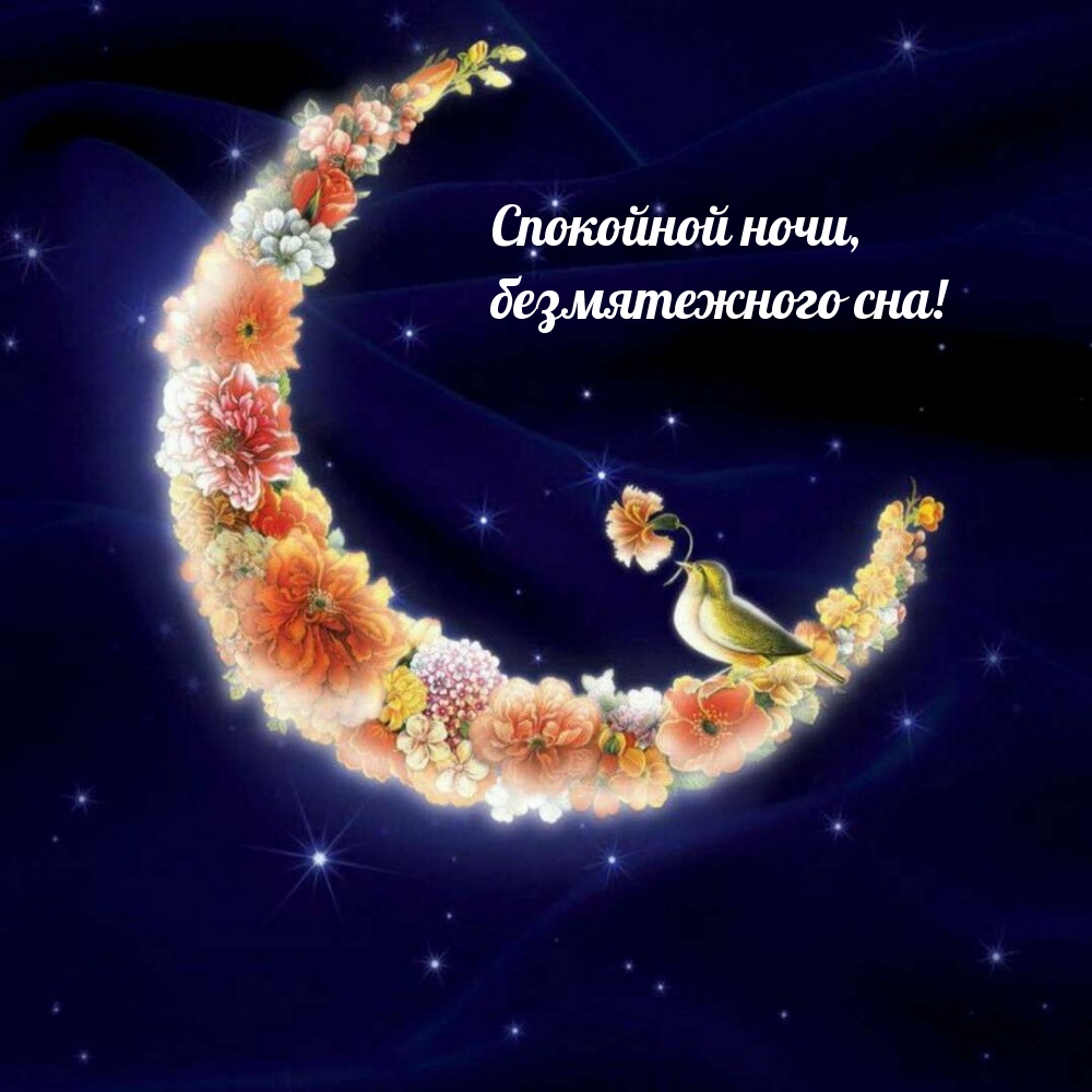 Спокойной ночи, безмятежного сна!