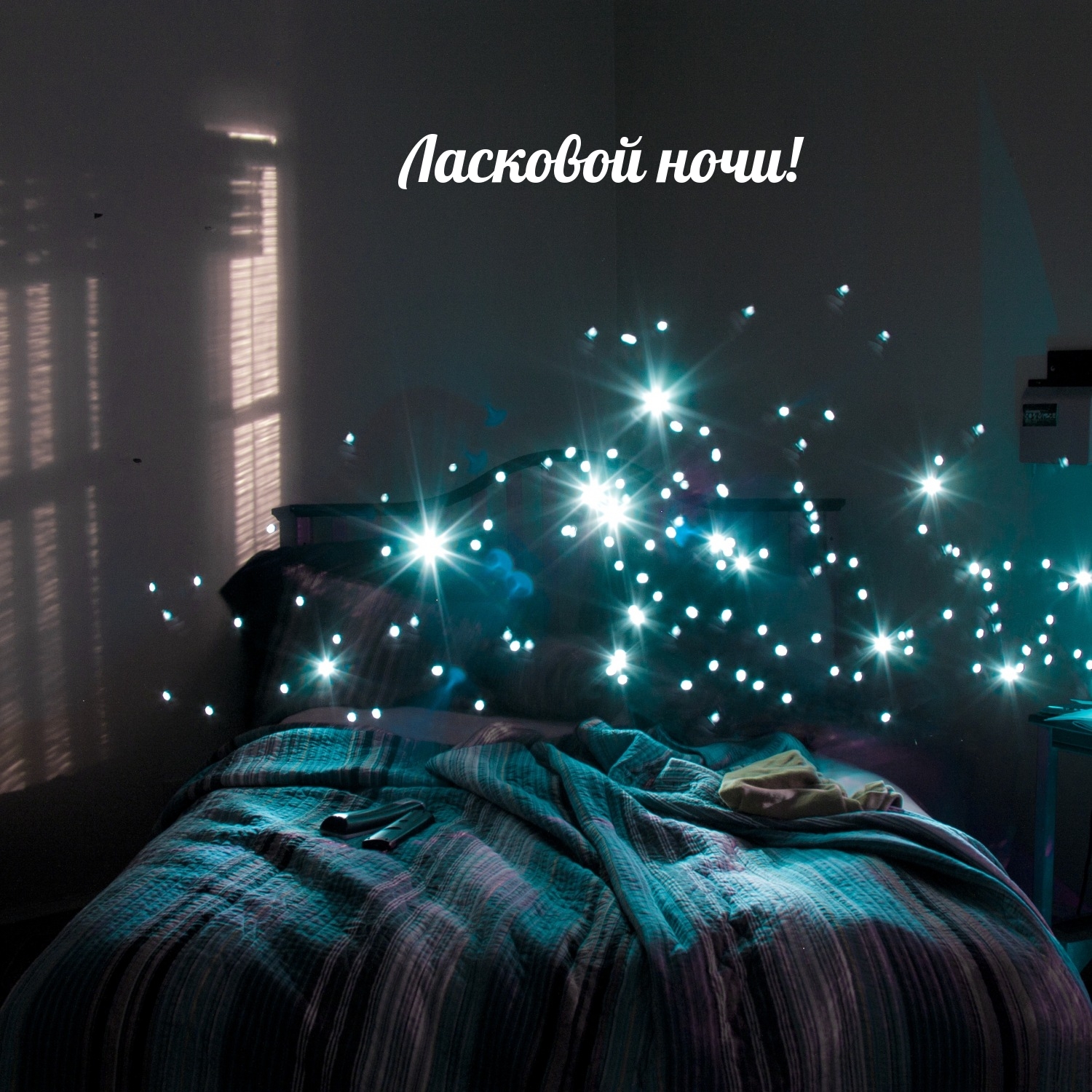 Ласковой ночи!