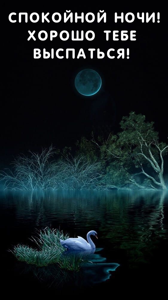 Спокойной ночи! Хорошо тебе выспаться! 