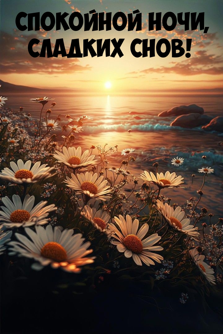 Спокойной ночи, сладких снов!