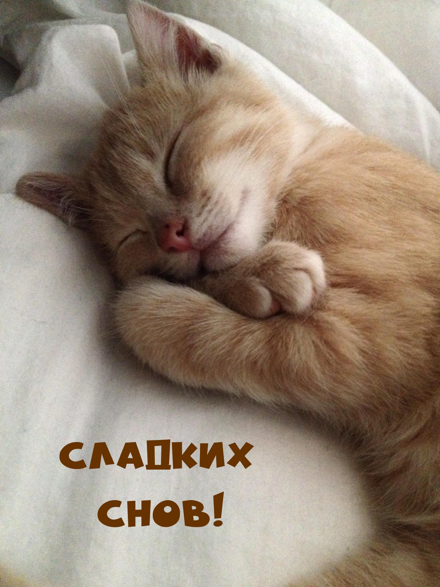 Сладких снов!